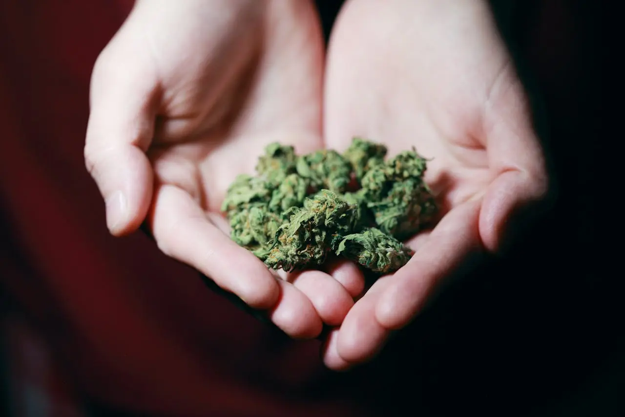 qual a diferença entre o ice nug e melt?