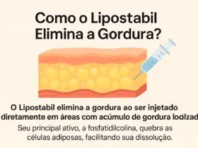 Como o Lipostabil Elimina a Gordura