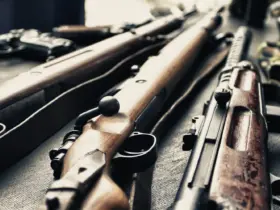 Winchester 22 arma de fogo