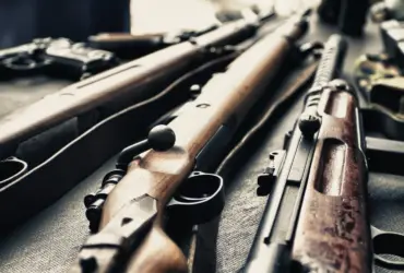 Winchester 22 arma de fogo