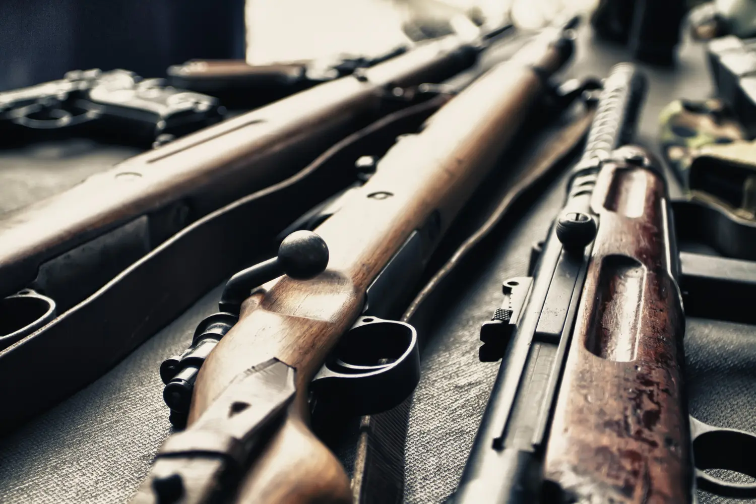 Winchester 22 arma de fogo